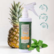 Clean Earth Project Natural All Purpose Surface Cleaner
