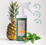 Clean Earth Project Natural All Purpose Surface Cleaner