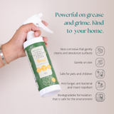 Clean Earth Project Natural All Purpose Surface Cleaner