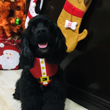 Life is Pawsome Santa & Elf Pet Bandana