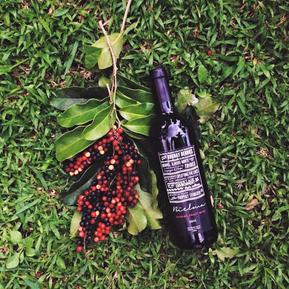 Bielma Bugnay Wine